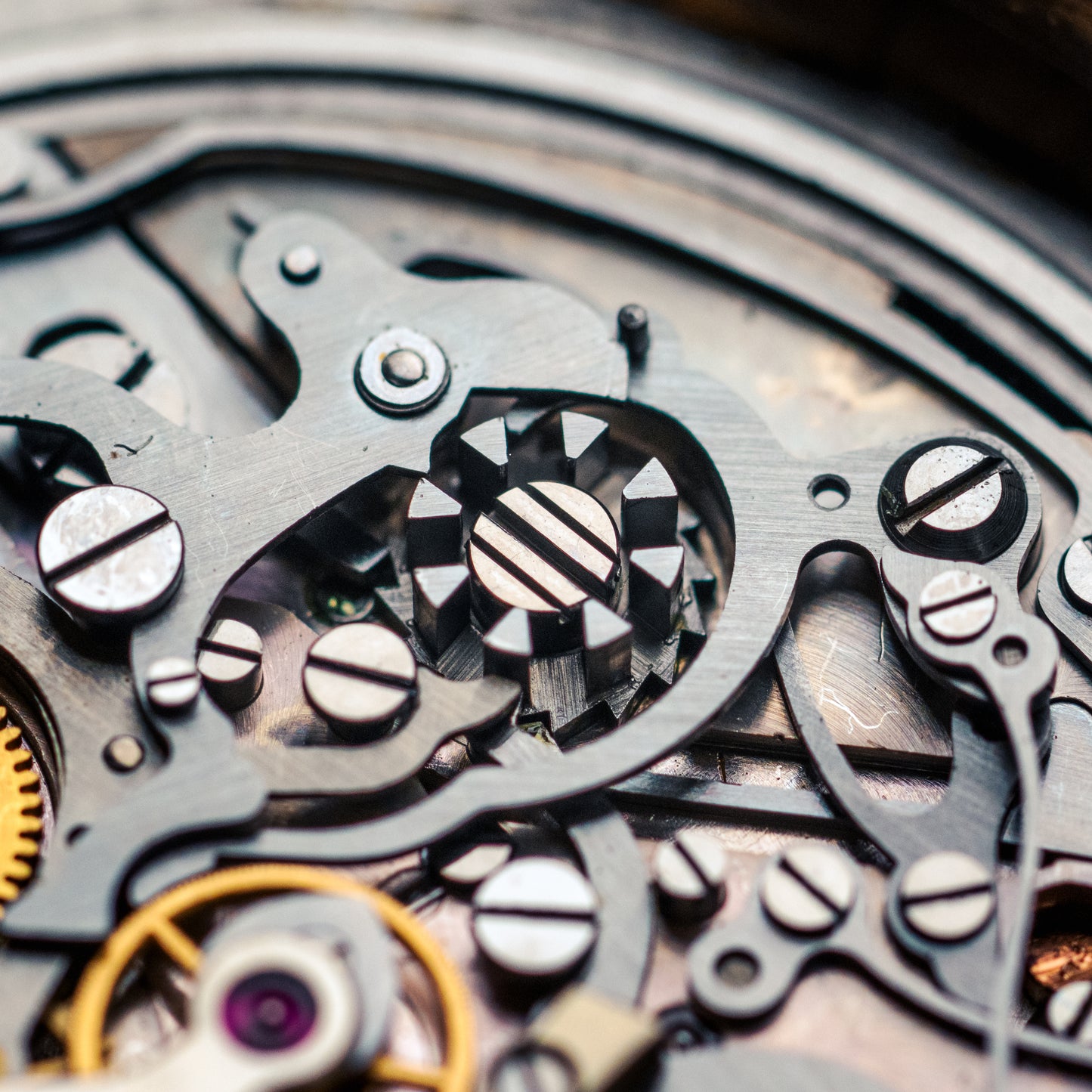 Excelsior Park bracelet Gay Frères acier