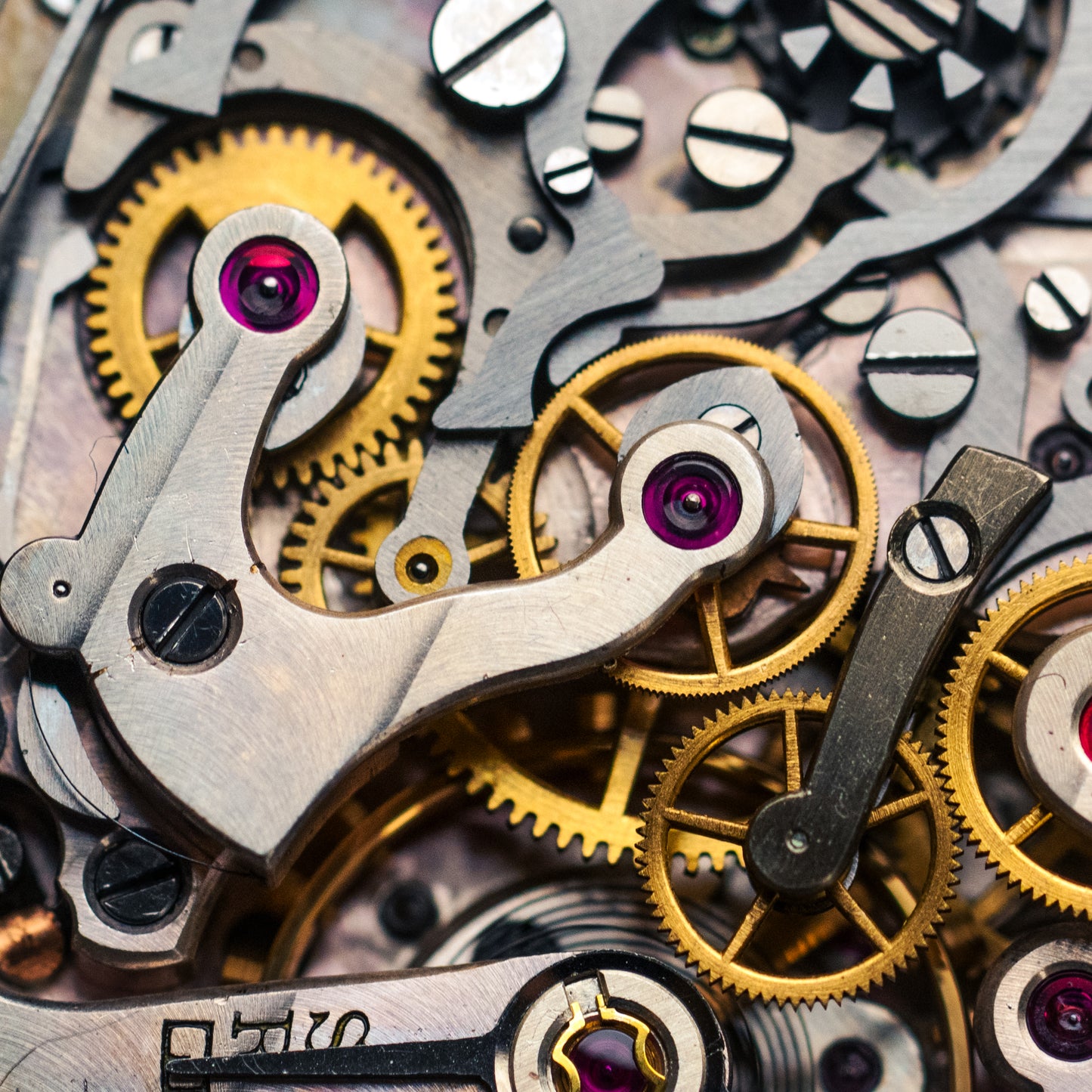 Excelsior Park bracelet Gay Frères acier